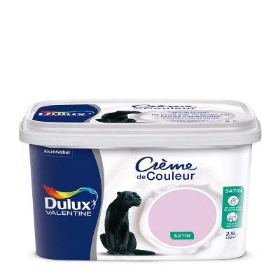 Peinture Interieure Couleur Castorama