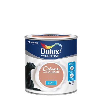 Peinture Interieure Couleur Castorama