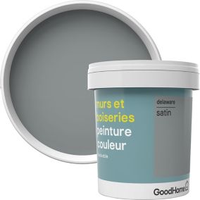 Peinture murs et boiseries GoodHome gris Delaware satin 0,75L