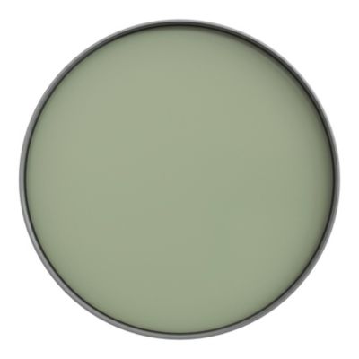 Peinture murs et boiseries GoodHome vert Limerick satin 0,75L