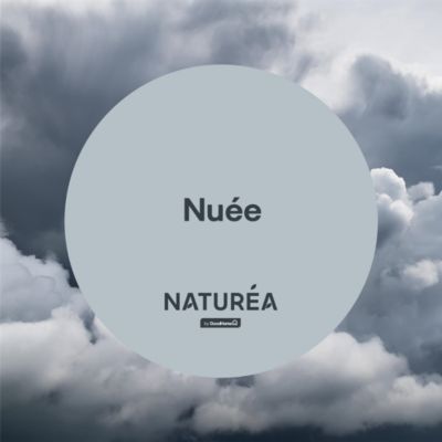 Peinture murs et boiseries Naturéa par GoodHome nuée velours 2L