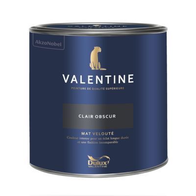 Peinture murs et boiseries noir clair obscur Dulux Valentine Mat Velouté 2 L