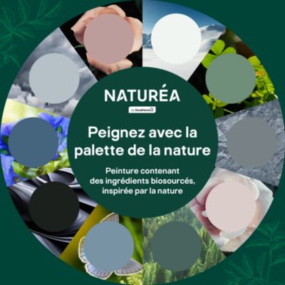 Peinture murs et boiseries noir de jais velours GoodHome Naturéa 2 L
