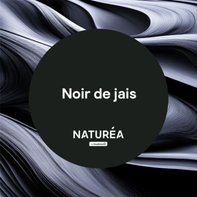 Peinture murs et boiseries noir de jais velours GoodHome Naturéa 2 L