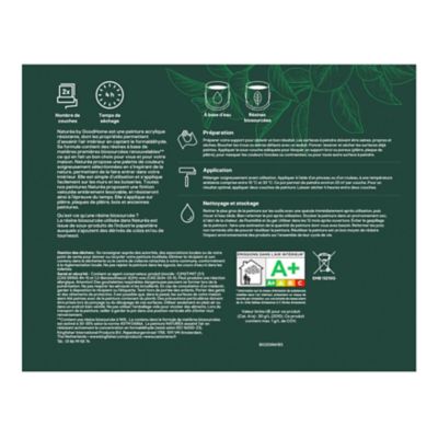 Peinture murs et boiseries noir de jais velours GoodHome Naturéa 2 L