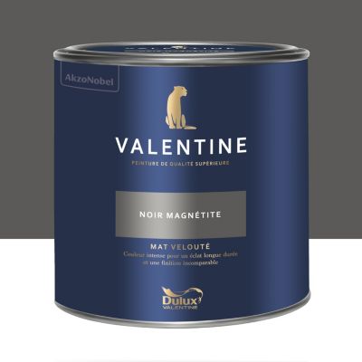 Peinture murs et boiseries noir magnétite Dulux Valentine Mat Velouté 2 L