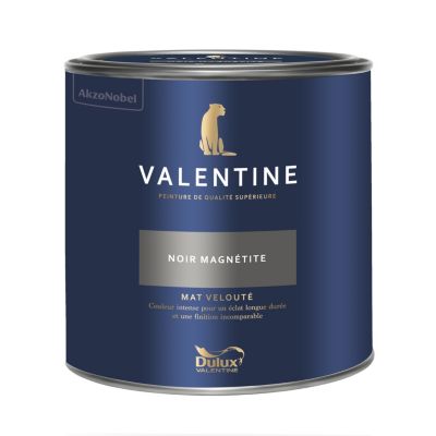 Peinture murs et boiseries noir magnétite Dulux Valentine Mat Velouté 2 L