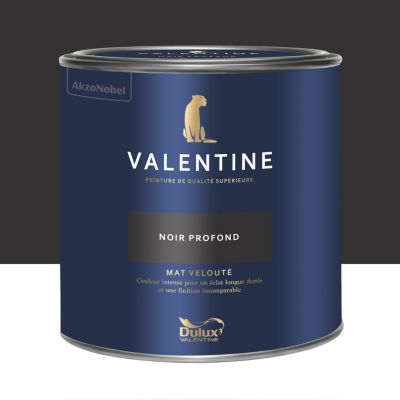 Peinture murs et boiseries noir profond Dulux Valentine Mat Velouté 2 L