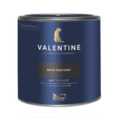 Peinture murs et boiseries noir profond Dulux Valentine Mat Velouté 2 L