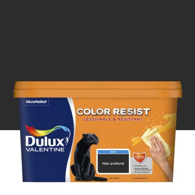 Peinture murs et boiseries noir profond mat Dulux Valentine Color Resist 2.5 L