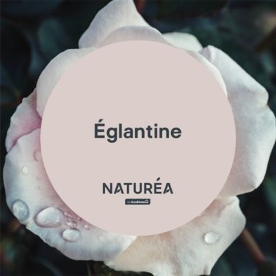 Peinture murs et boiseries rose églantine velours GoodHome Naturéa 0.5 L