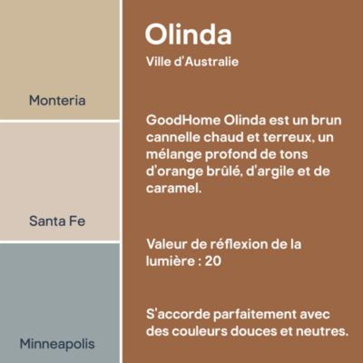 Peinture murs et boiseries rouge terracotta olinda satin GoodHome 2.5 L