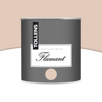 Peinture Murs Et Boiseries Tollens Flamant Nude Mat 0 5l Castorama