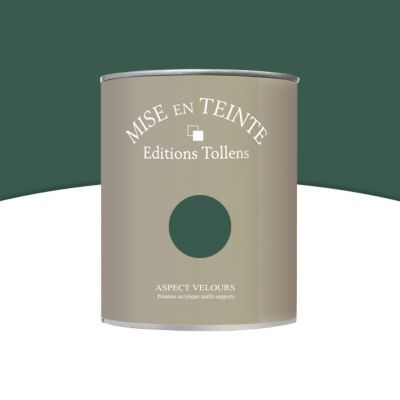 Peinture Murs Et Boiseries Tollens Mise En Teinte Amazone Mat Velours 1l Castorama
