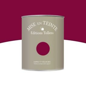 Peinture murs et boiseries Tollens Mise en teinte castille mat velours 1L