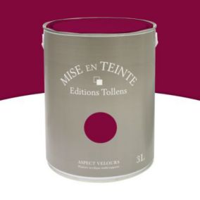 Peinture murs et boiseries Tollens Mise en teinte castille mat velours 3L