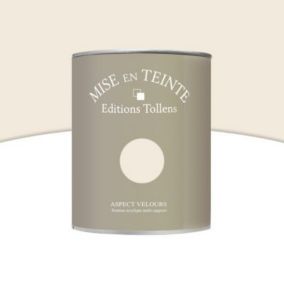 Peinture murs et boiseries Tollens Mise en teinte ceruse mat velours 1L