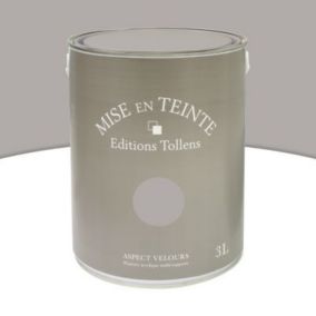 Peinture murs et boiseries Tollens Mise en teinte granit mat velours 3L