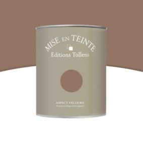 Peinture murs et boiseries Tollens Mise en teinte havane mat velours 1L