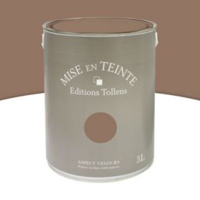 Peinture murs et boiseries Tollens Mise en teinte havane mat velours 3L