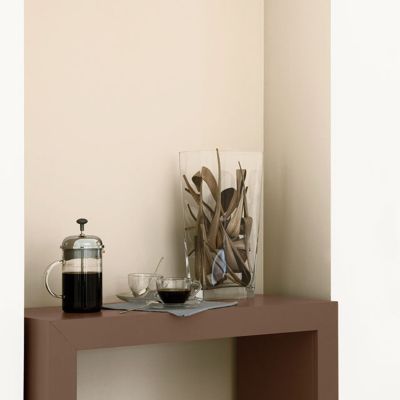 Peinture murs et boiseries Tollens Mise en teinte havane mat velours 3L