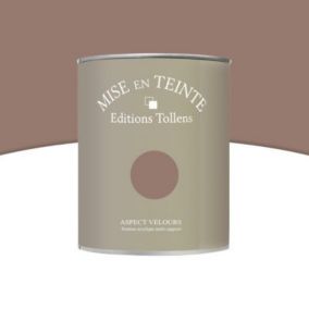 Peinture murs et boiseries Tollens Mise en teinte lait de chaux mat velours 1L