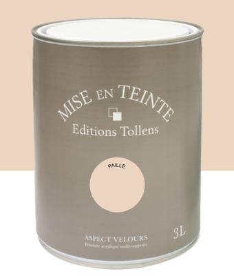 Peinture murs et boiseries Tollens Mise en teinte palmier mat velours 3L main image 0