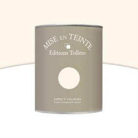 Peinture murs et boiseries Tollens Mise en teinte porcelaine mat velours 1L