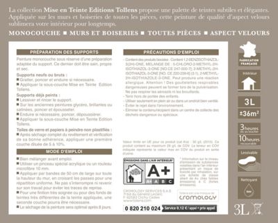 Peinture murs et boiseries Tollens Mise en teinte vert veronese mat velours 3L