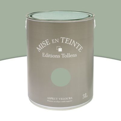 Peinture murs et boiseries Tollens Mise en teinte vert veronese mat velours 3L