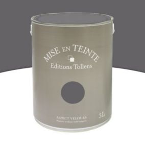 Peinture murs et boiseries Tollens Mise en teinte zinc mat velours 3L