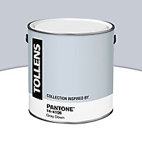 Peinture murs et boiseries Tollens Pantone 14-4106 gray down satin 2L