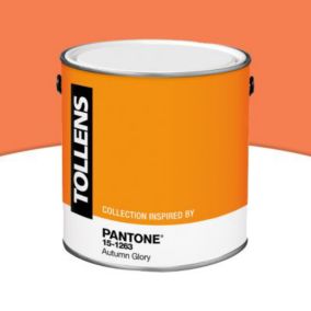 Peinture murs et boiseries Tollens Pantone 15-1263 automn glory satin 2L