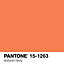 Peinture murs et boiseries Tollens Pantone 15-1263 automn glory satin 2L
