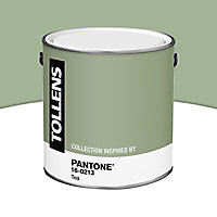 Peinture murs et boiseries Tollens Pantone 16-0213 tea satin 2L