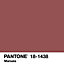 Peinture murs et boiseries Tollens Pantone 18-1438 marsala satin 2L