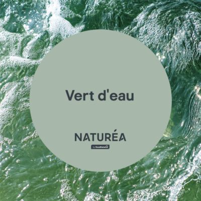 Peinture murs et boiseries vert d'eau velours GoodHome Naturéa 0.5 L