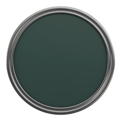 Peinture murs et boiseries vert épicéa velours GoodHome Naturéa 0.5 L