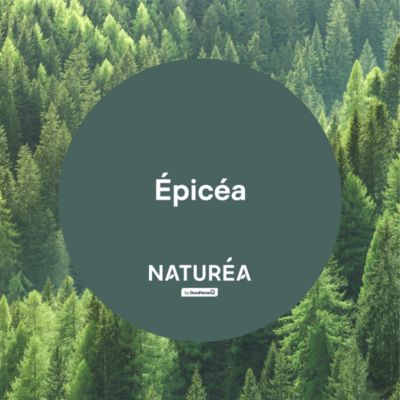 Peinture murs et boiseries vert épicéa velours GoodHome Naturéa 0.5 L