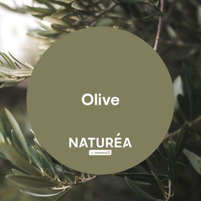 Peinture murs et boiseries vert olive velours GoodHome Naturéa 2 L
