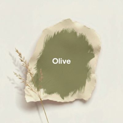 Peinture murs et boiseries vert olive velours GoodHome Naturéa 2 L