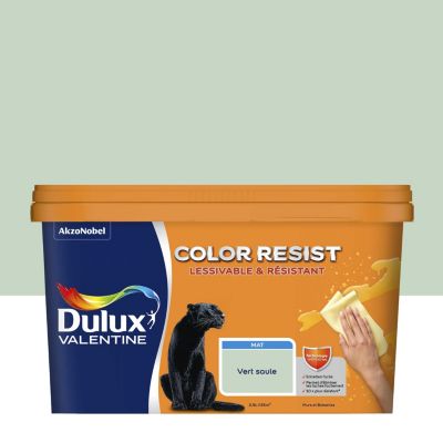 Peinture murs et boiseries vert saule mat Dulux Valentine Color Resist 2.5 L