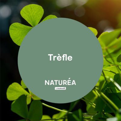 Peinture murs et boiseries vert trèfle velours GoodHome Naturéa 2 L