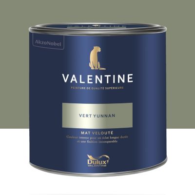 Peinture murs et boiseries vert yunnan Dulux Valentine Mat Velouté 2 L