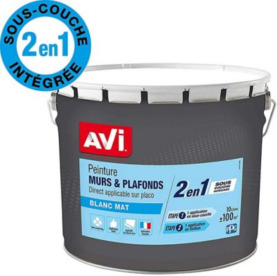 Peindre Plafond Castoramanull