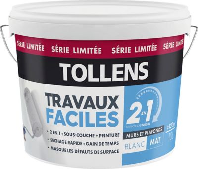 Peinture murs et plafonds 2 en 1 Tollens blanc mat 10L  Castorama
