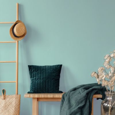 Peinture murs et plafonds Biorigine Tollens velours nénuphar 2L
