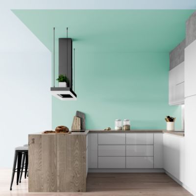 Peinture murs et plafonds Biorigine Tollens velours nénuphar 2L