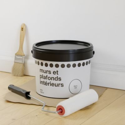 Peinture murs et plafonds blanc mat 10L