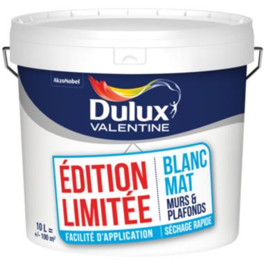 Peinture murs et plafonds blanc mat séchage rapide Dulux Valentine